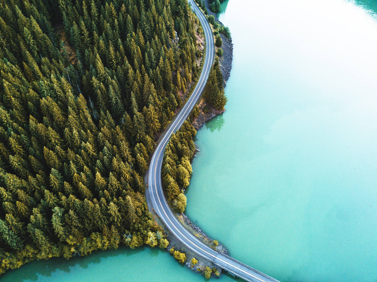 Birds eye view of a road, surrounded by green trees and blue water